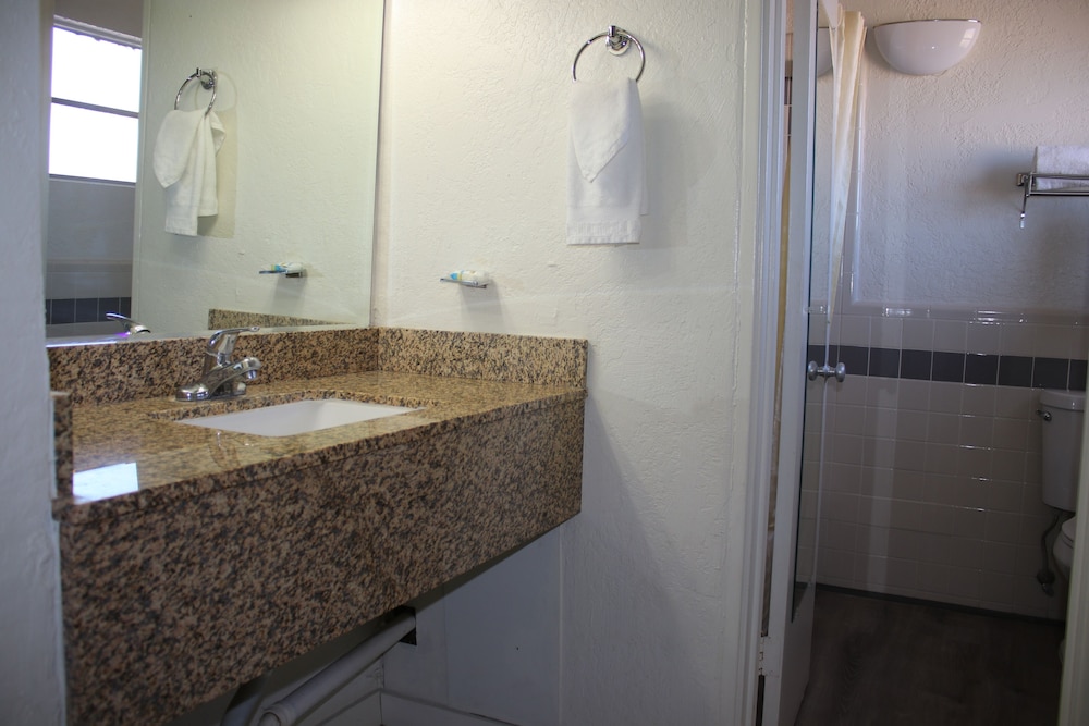 The Classic Desert Aire Hotel - photo 24