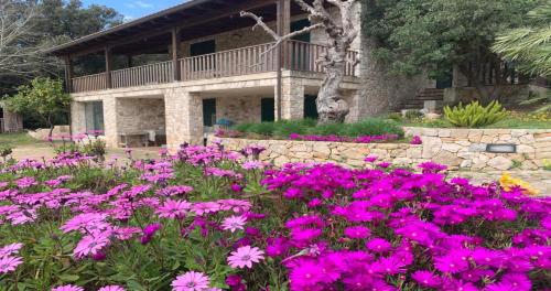 Odegos Affittacamere Maliconca - last minute hotel in Unknown City