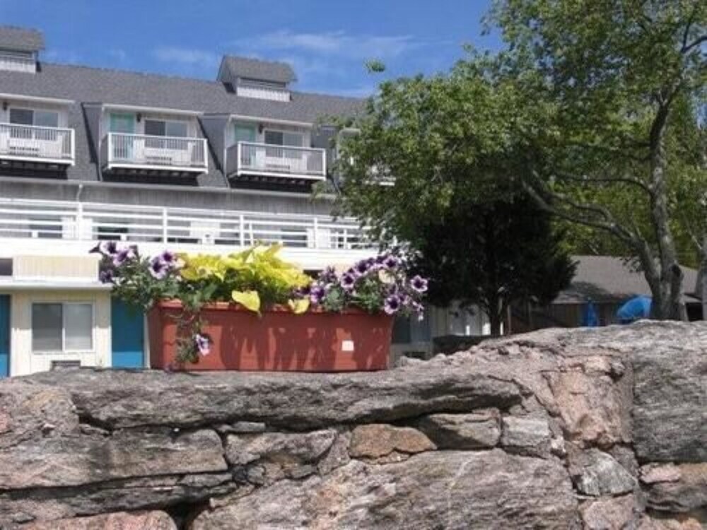The Windswept Inn - photo 9