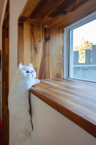 Jeonju Dokchae YS in Jeonju, South Korea