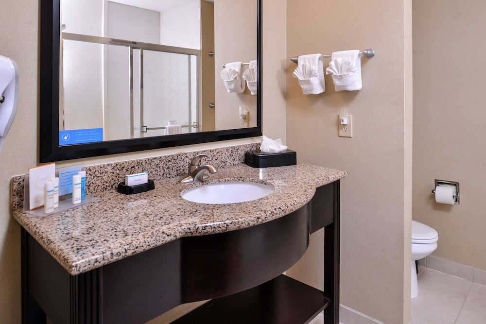 Hampton Inn & Suites Big Spring - photo 33