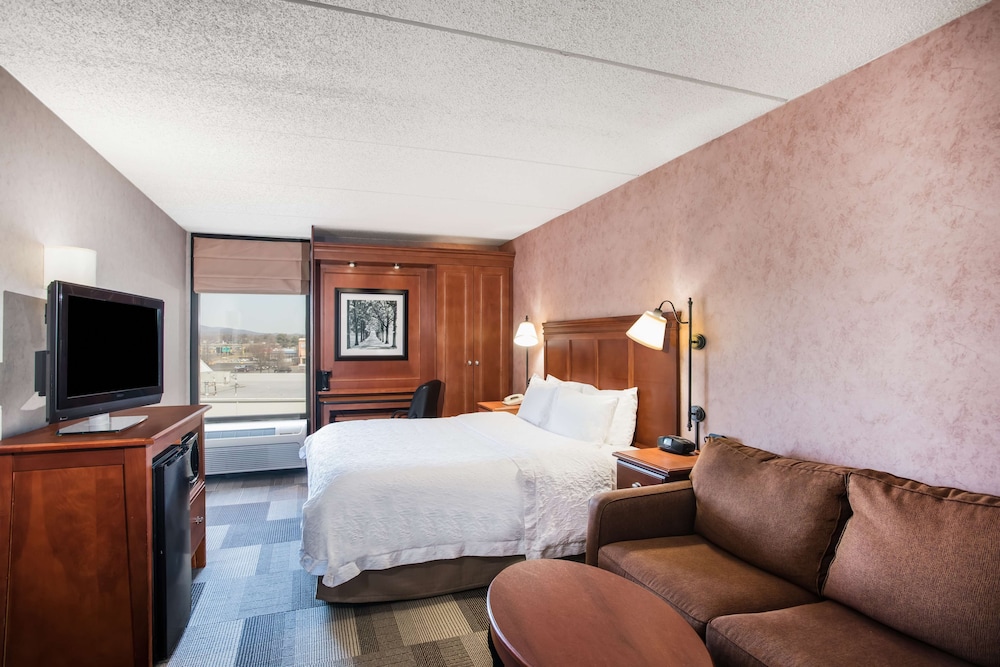 Hampton Inn West Springfield - photo 17