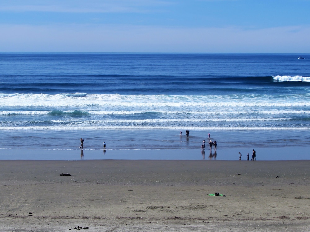Driftwood Shores Resort And Conference Center - photo 29