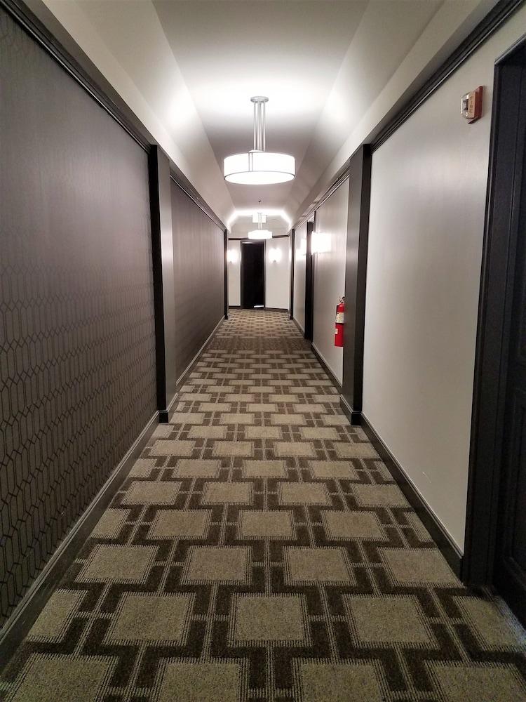 The Buckingham Hotel - photo 42