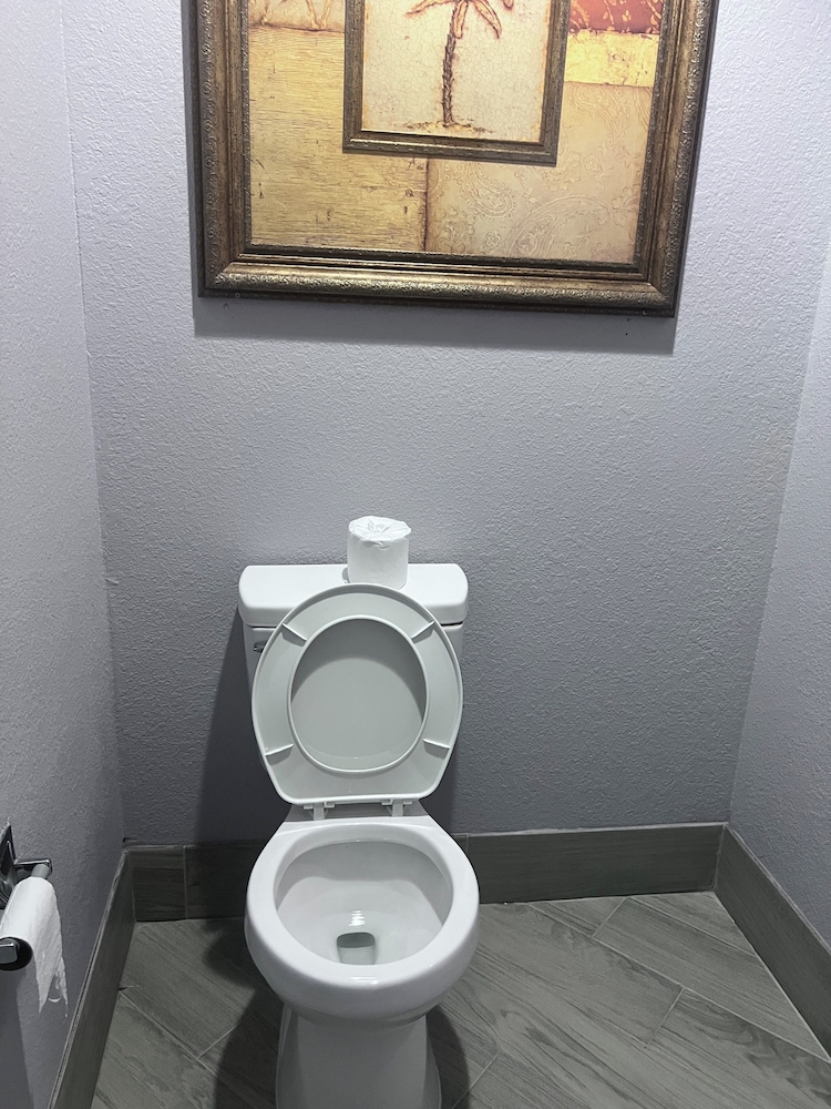 Apple Tree Inn and Suites - photo 15