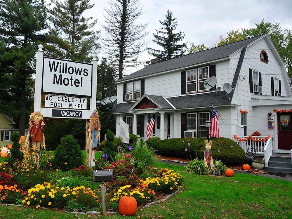 Willows Motel Williamstown - photo 47