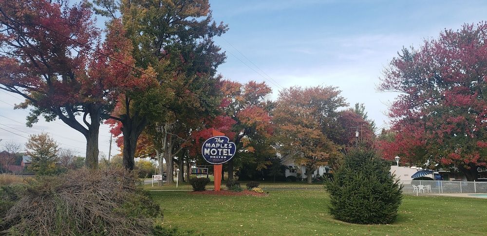 Maples Motel - photo 8