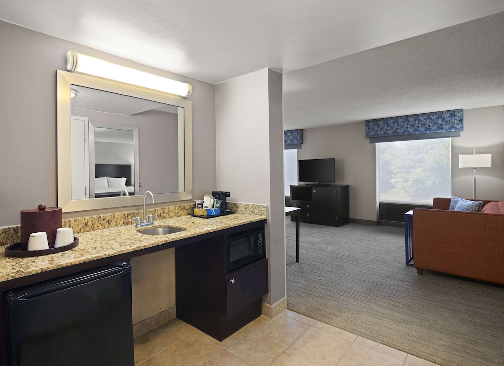 Hampton Inn & Suites Arundel Mills Baltimore - photo 38