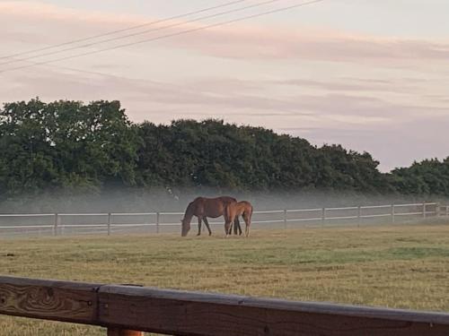 The Paddocks Spacious annexe with rural outlook. — 4-Star Luxury Hotel in Wareham, United Kingdom