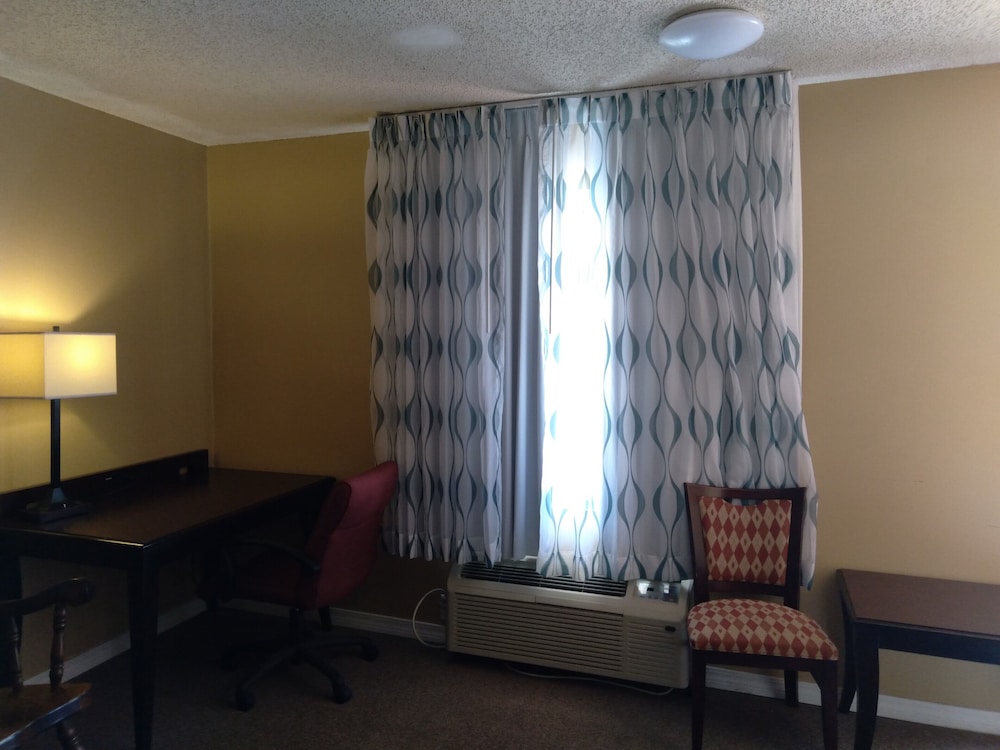 Budget Lodge of Mount Dora - photo 8