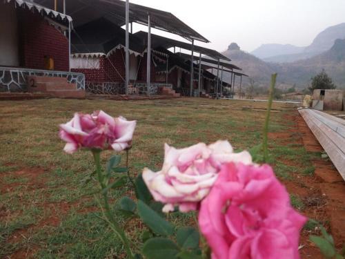 Jamrung Hillside Camping — 4-Star Luxury Hotel in Matheran, India