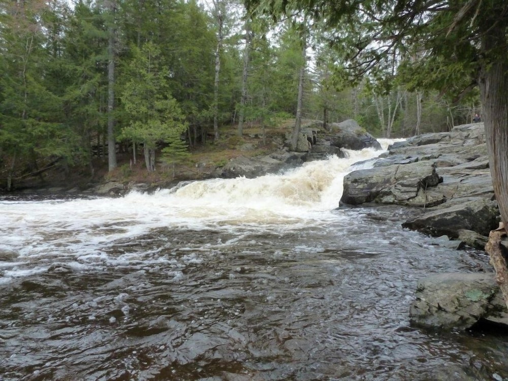 Chicaugon Lake Inn - photo 51