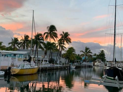 Blue Ocean Bungalow — 4-Star Luxury Hotel in Marathon, United States