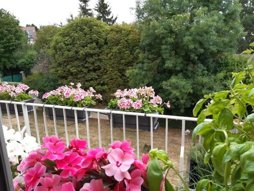 Duplex 105m2 Pour Les Jo 2024 Entre Paris Et Versailles — hotel in Marly-Le-Roi
