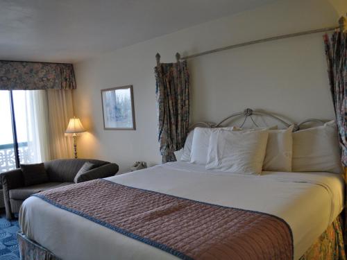 The Diplomat Family Motel - photo 58