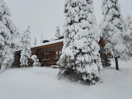 Kelohonkamökki ja 2 x hissilippu in Kuusamo, Finland