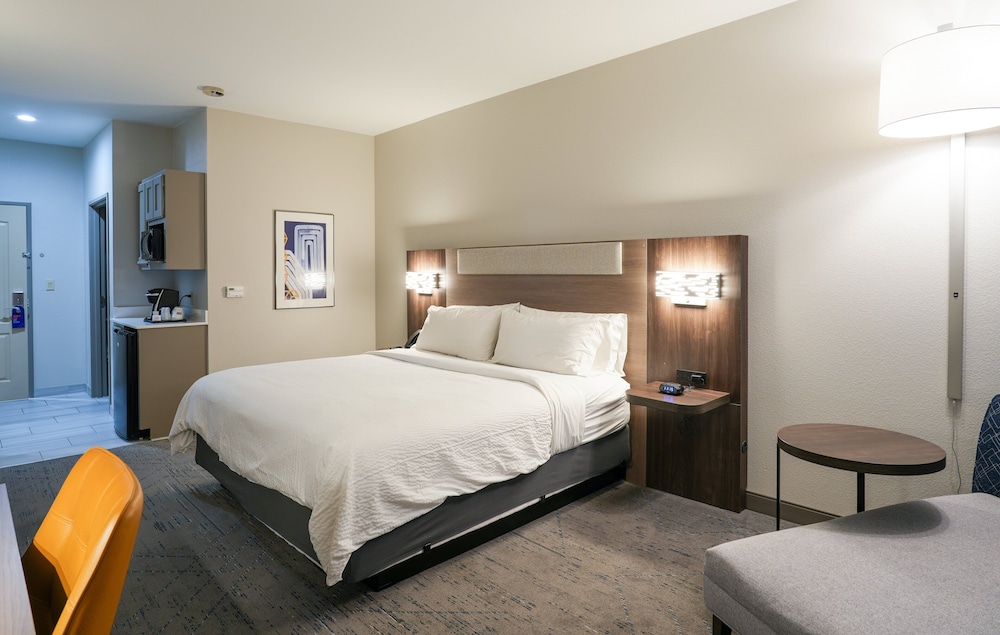 Holiday Inn Express & Suites Dallas Southwest Cedar Hill by IHG - photo 20