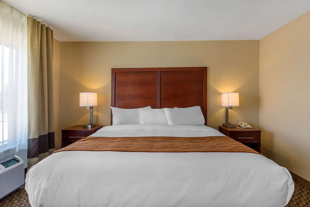 Comfort Inn & Suites SW Houston Sugarland - photo 18