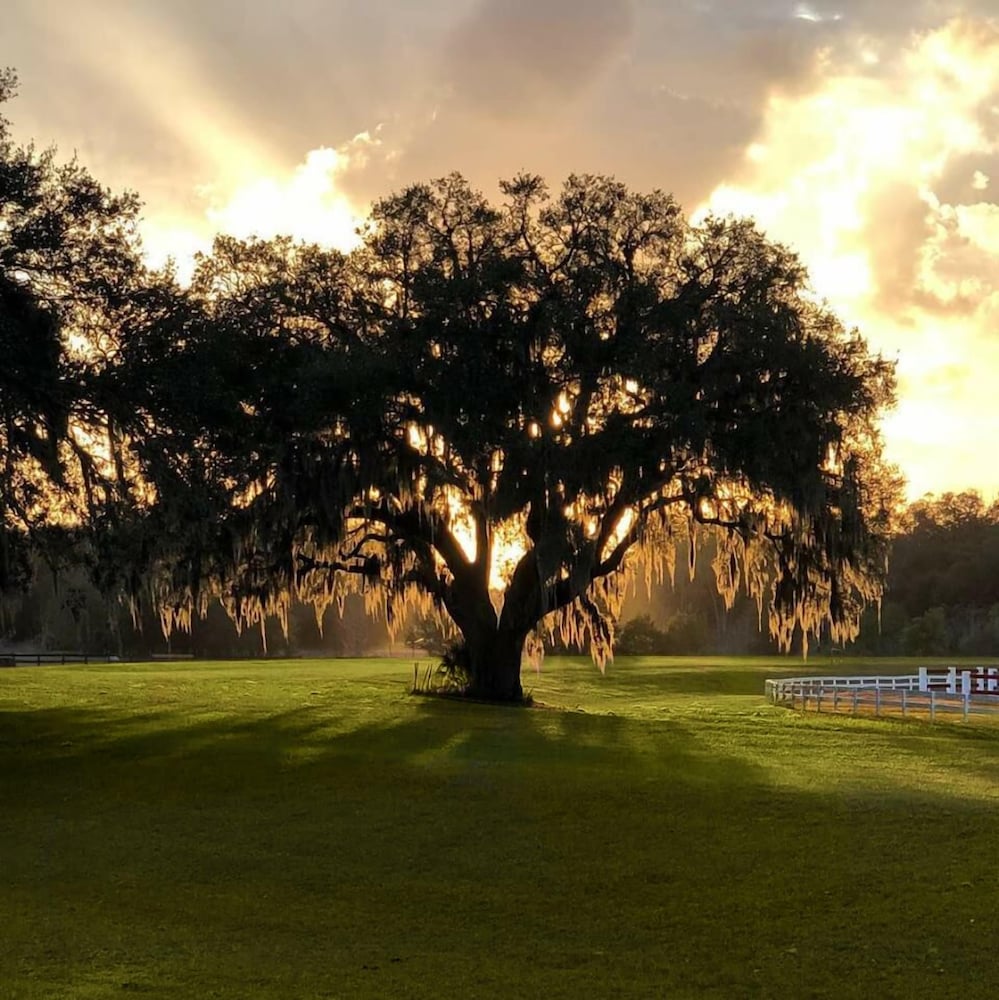 The Grand Oaks Resort in Lady Lake, United States