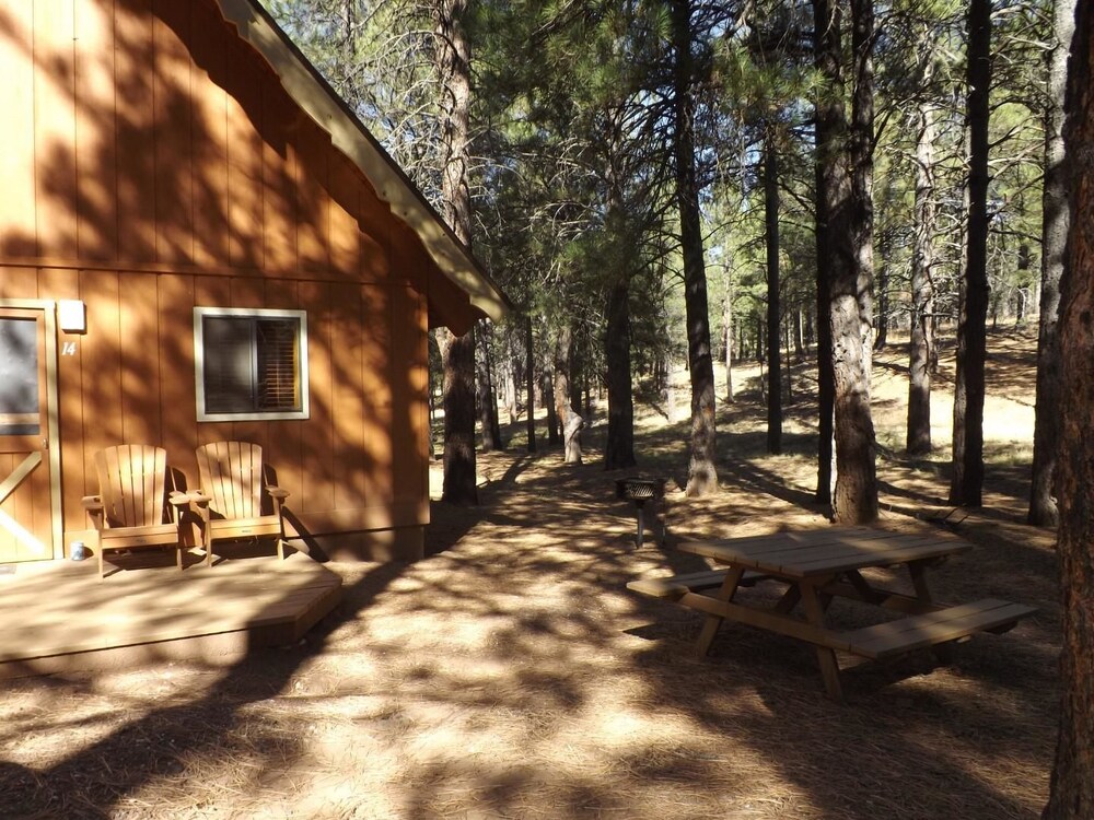 Arizona Mountain Inn and Cabins - photo 172