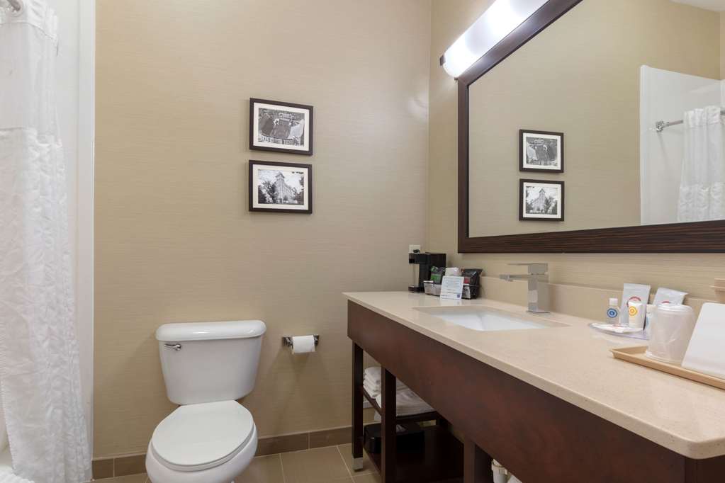 Comfort Inn & Suites Fayetteville University Area - photo 24