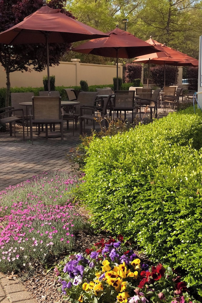 Greenville Marriott - photo 54