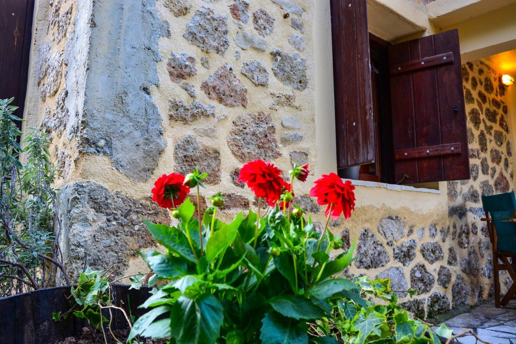 Εν Αρχή En Arhi — Trikala — photo 2