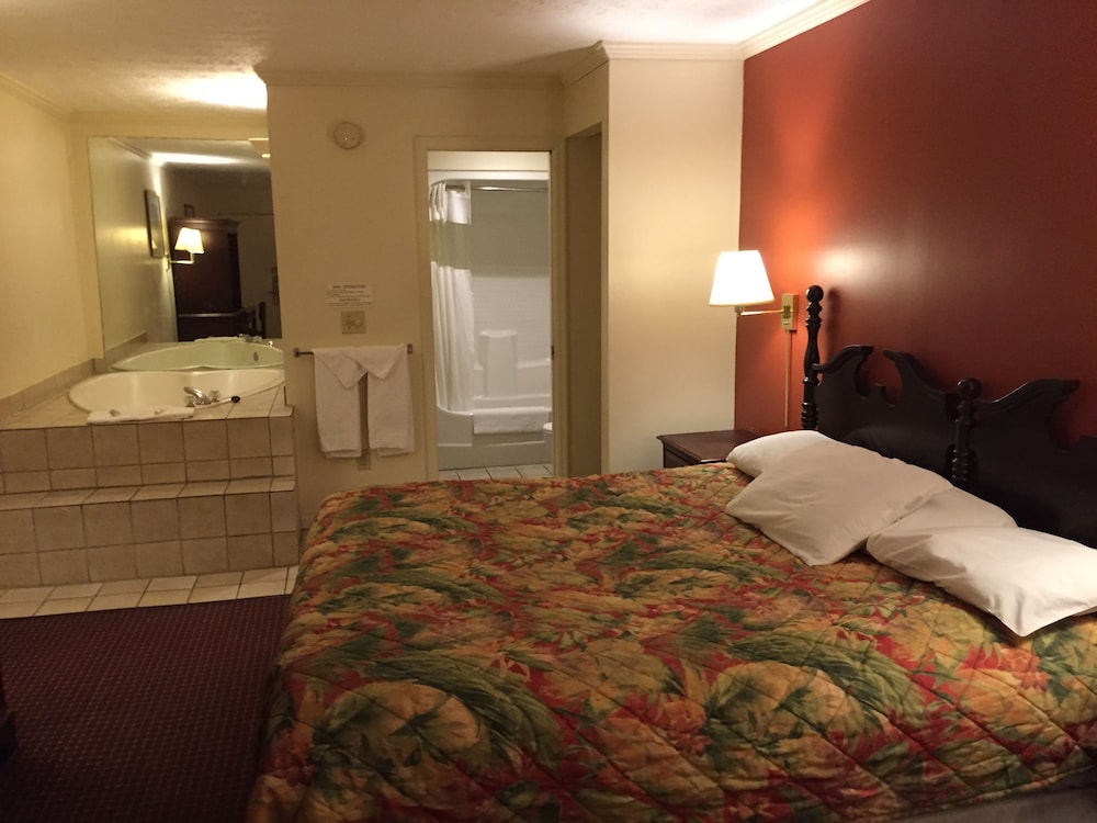 Wildwood Inn Tropical Dome & Theme Suites - photo 8