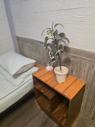 204 Olan Place Spacious Studio with fan and Wi fi near BTS Skytrain