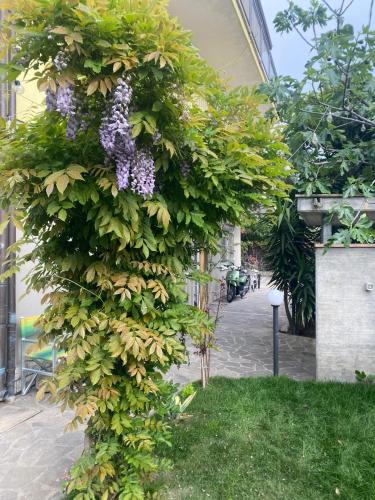 Bblueb&B — 4-Star Luxury Hotel in Rimini, Italy