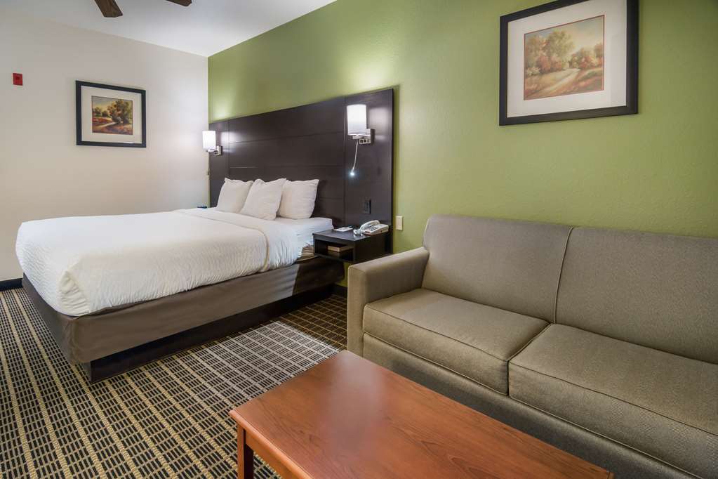 Clarion Inn & Suites Weatherford South - photo 8