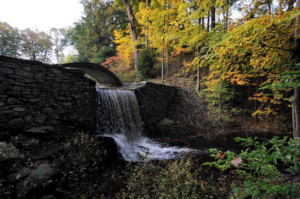 Buttermilk Falls Inn - photo 60