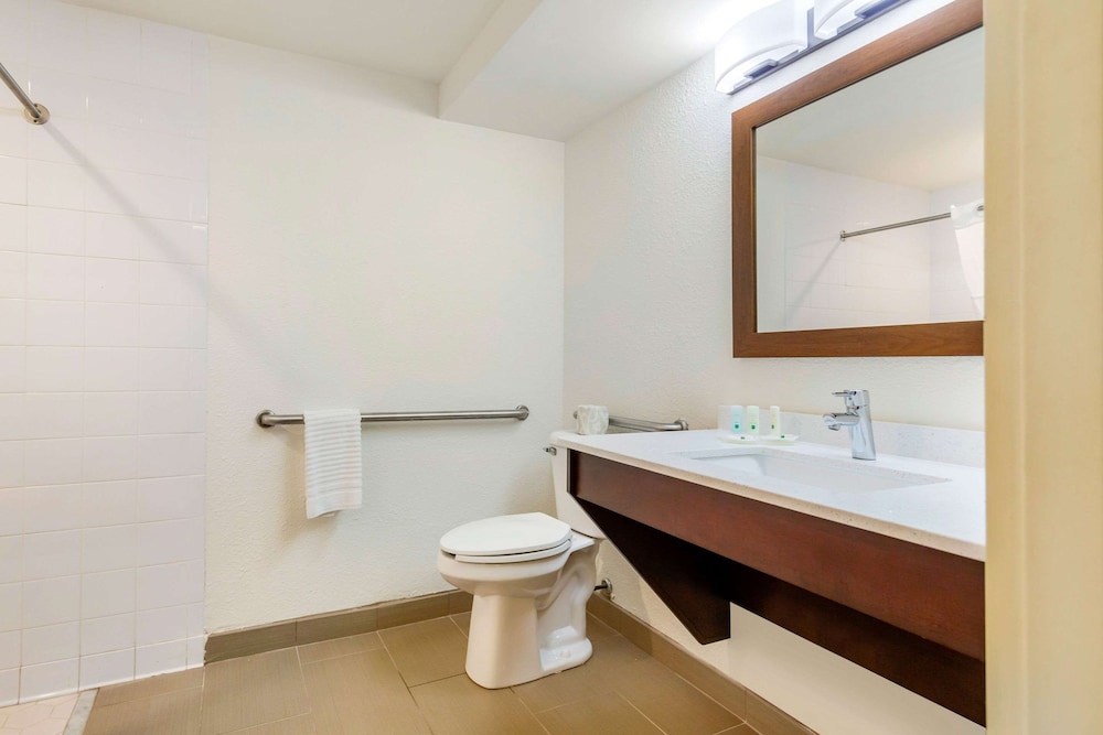 Quality Inn & Suites Olde Town - photo 28