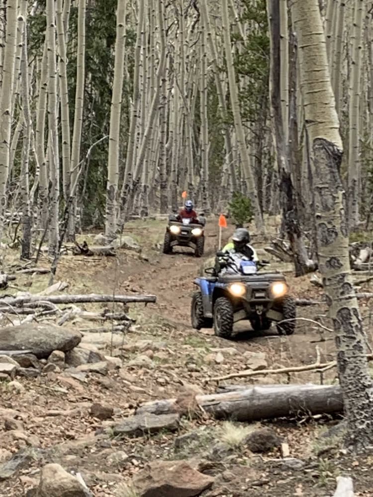 South Fork Lodge & RV Park - photo 23