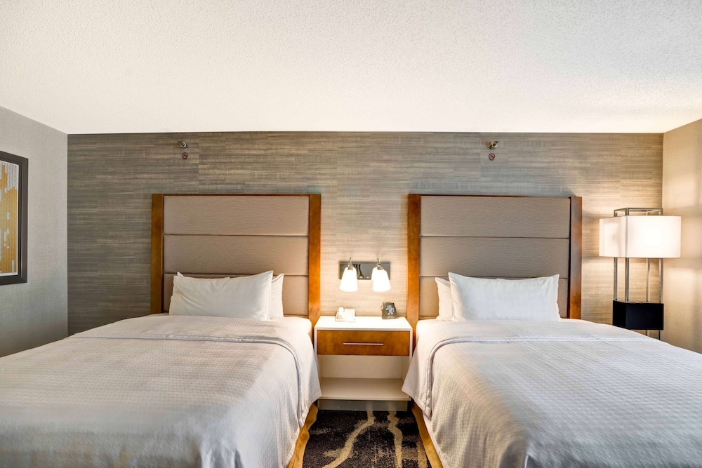 Homewood Suites by Hilton Chicago Downtown - photo 11