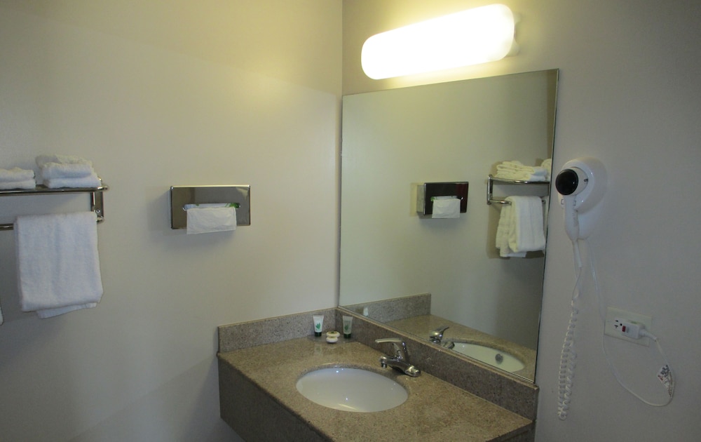 Regal Inn Chicago O'Hare Airport - photo 37