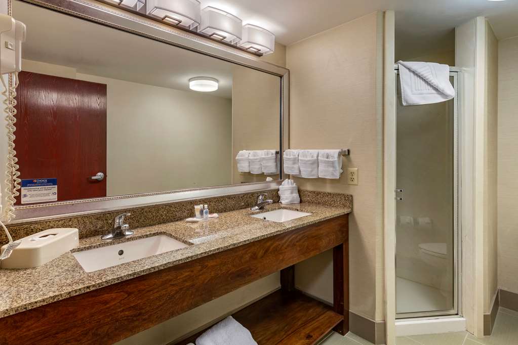 Comfort Suites Manassas Battlefield Park - photo 39