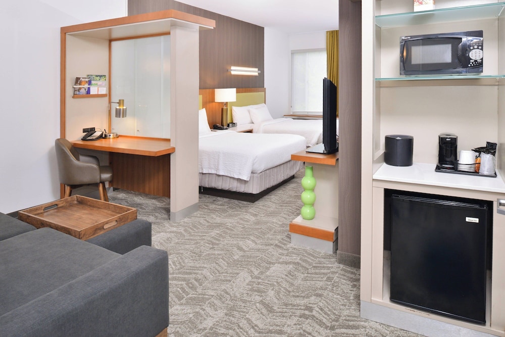 SpringHill Suites by Marriott Ashburn Dulles North - photo 9
