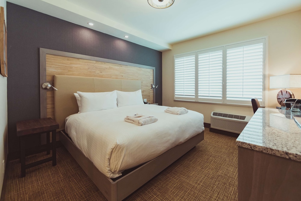 Tailwater Lodge Altmar Tapestry Collection by Hilton - photo 38