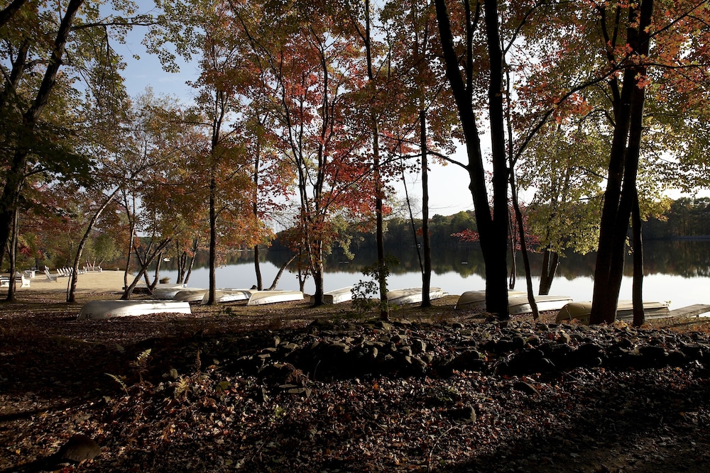 Mountain Springs Lake Resort - photo 328