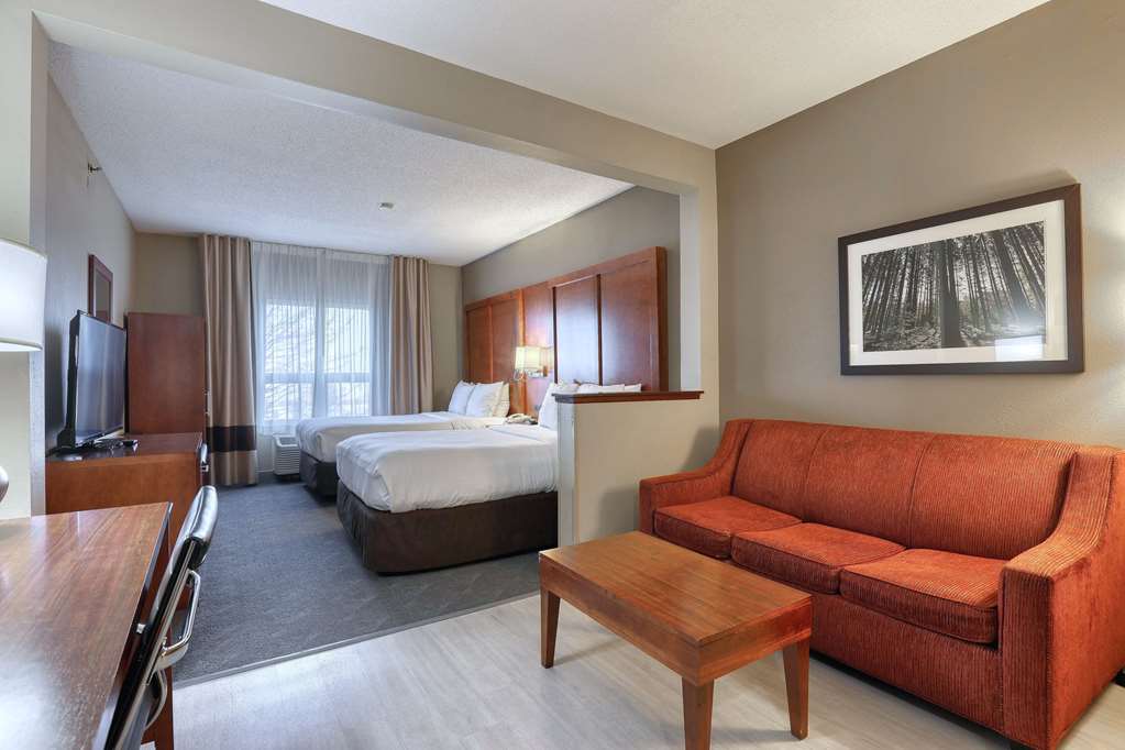 Comfort Suites Madison West Middleton - photo 18