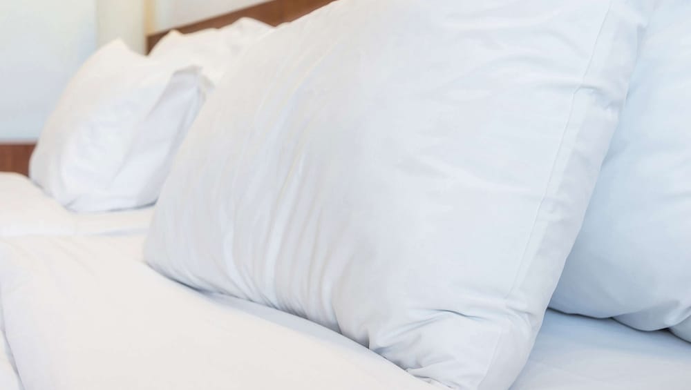 Magnuson Hotel Blythe - photo 4