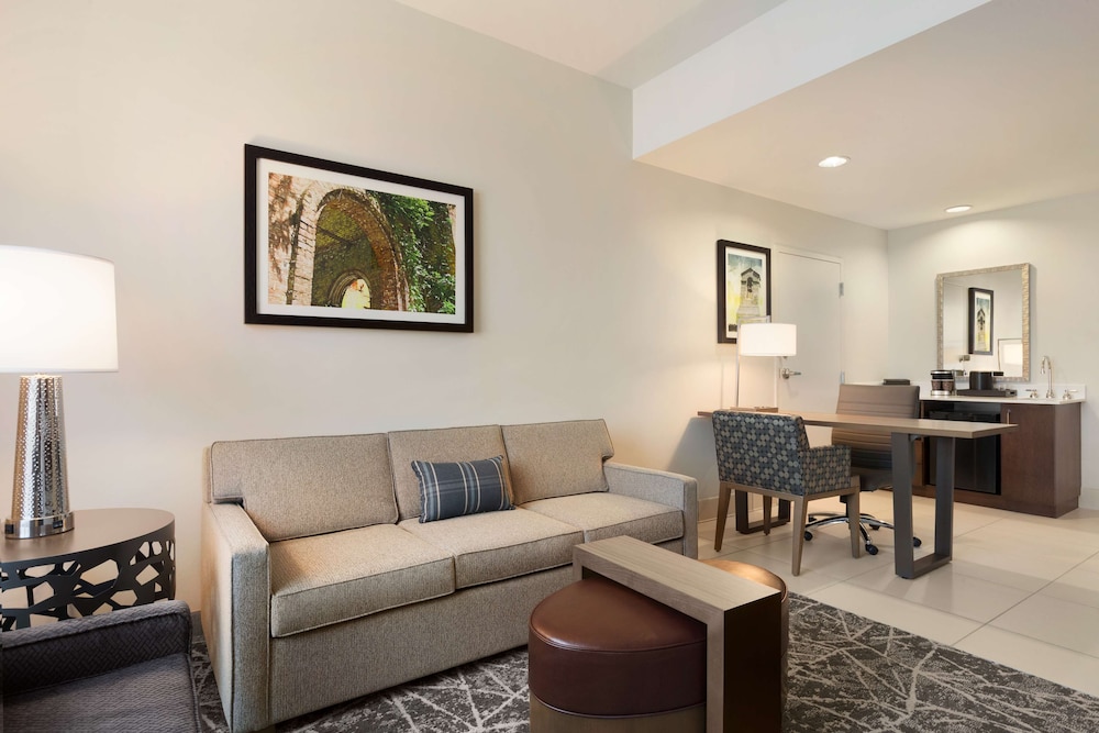 Embassy Suites by Hilton San Antonio Brooks Hotel & Spa - photo 19