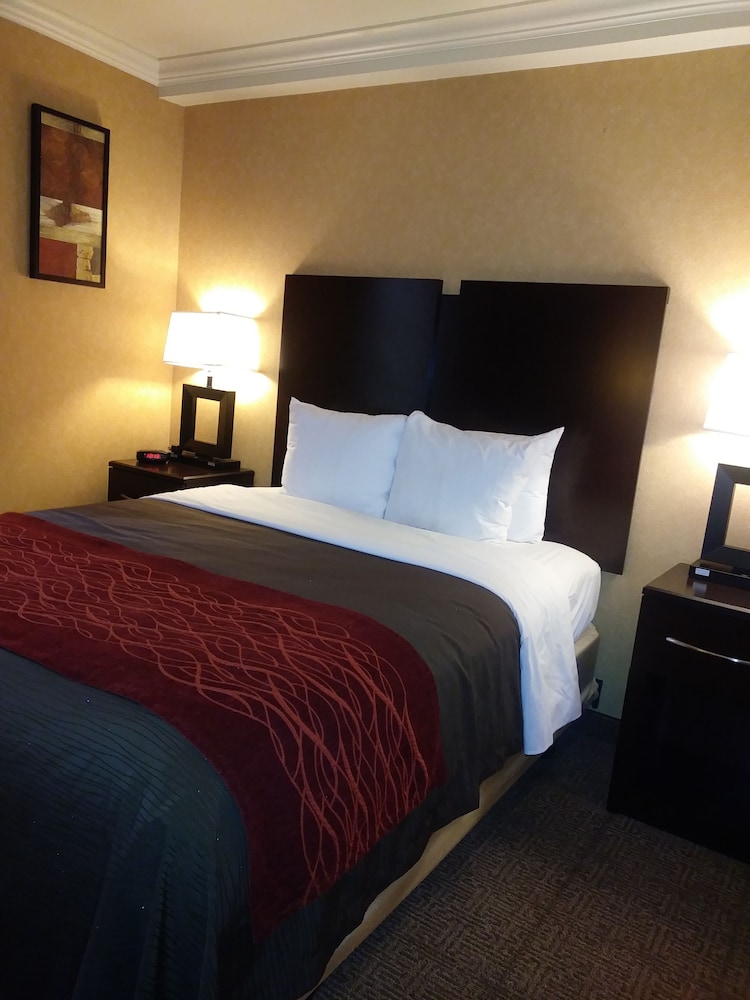 Comfort Inn Columbia Gorge - photo 2