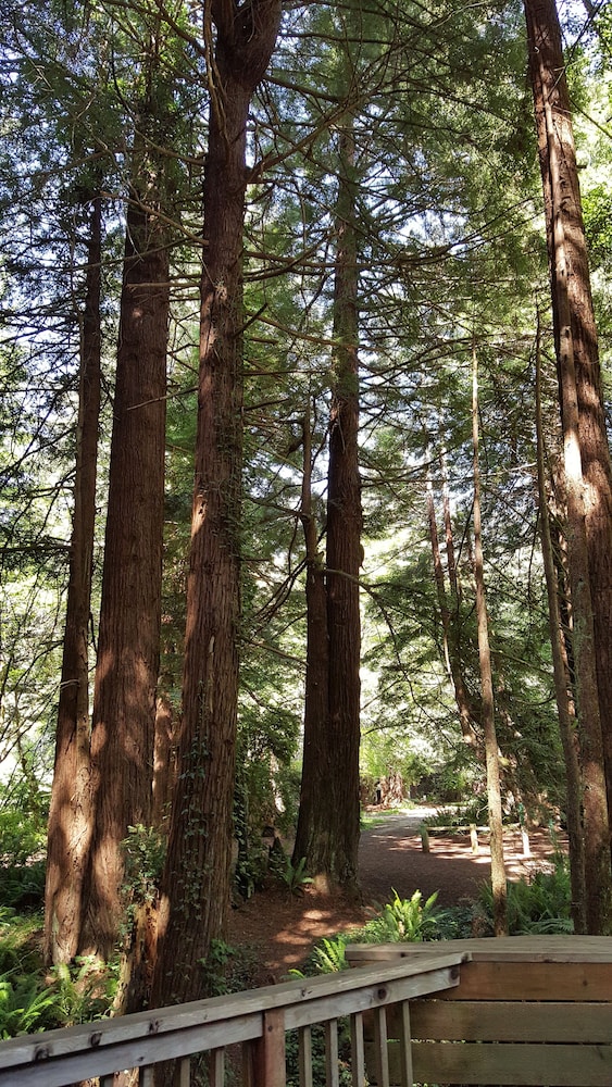 Emerald Forest Cabins - photo 90