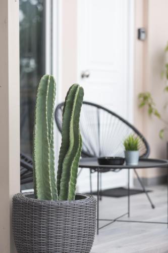 K studios in Kalamata, Greece