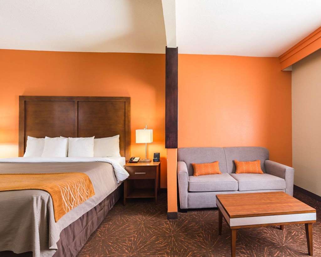 Econo Lodge Inn & Suites East - photo 23