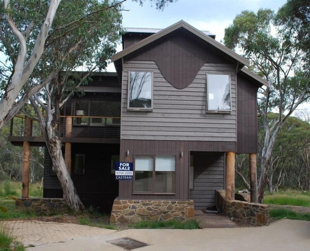 Sun Dew in Dinner Plain, Australia