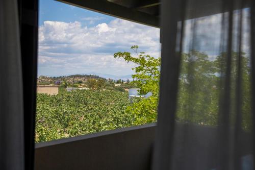Serenata — Aegina — photo 3