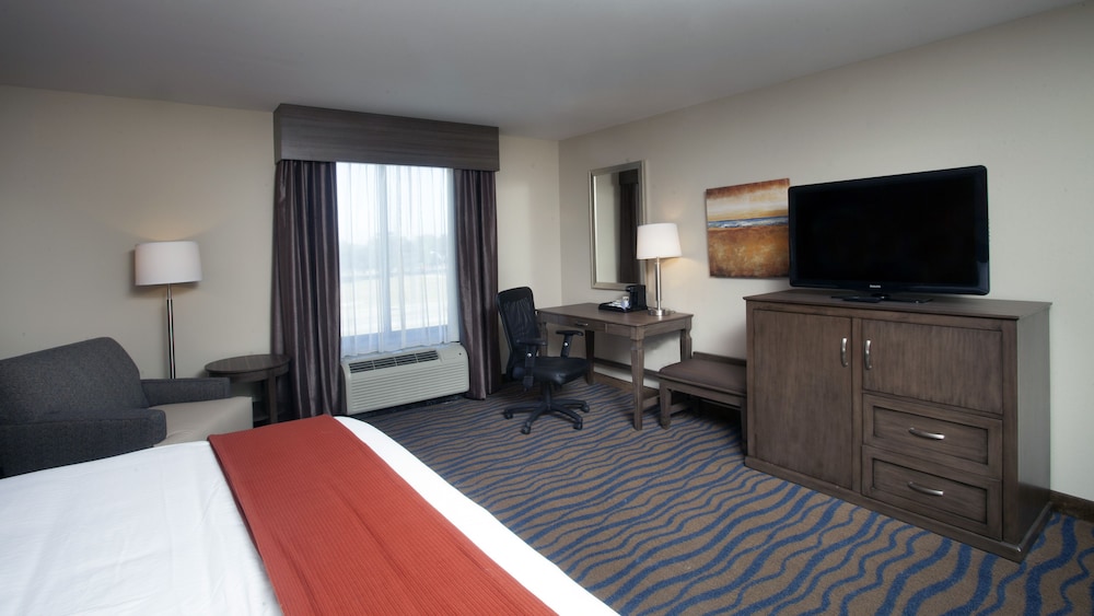 Holiday Inn Express Hotel & Suites Morgan City Tiger Island by IHG - photo 10